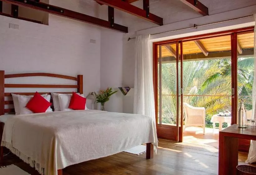 ホテル Bougainvillea Retreat