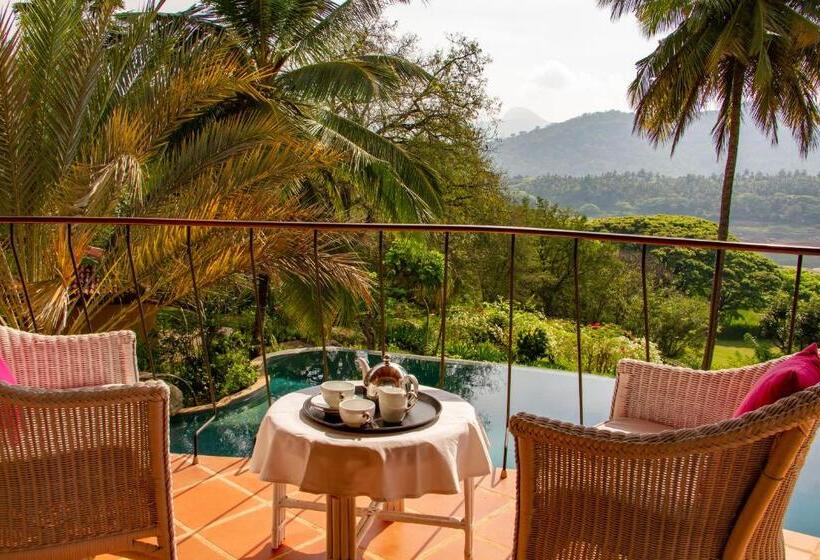 Отель Bougainvillea Retreat