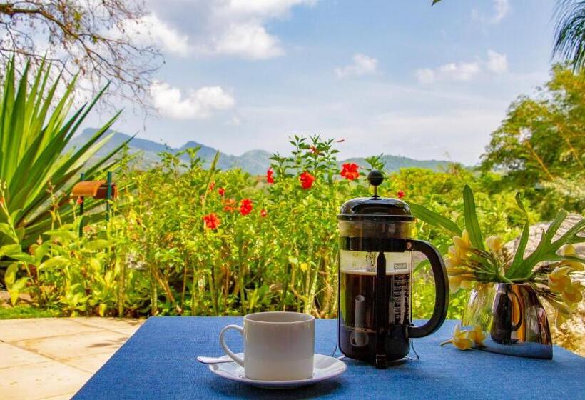 Отель Bougainvillea Retreat