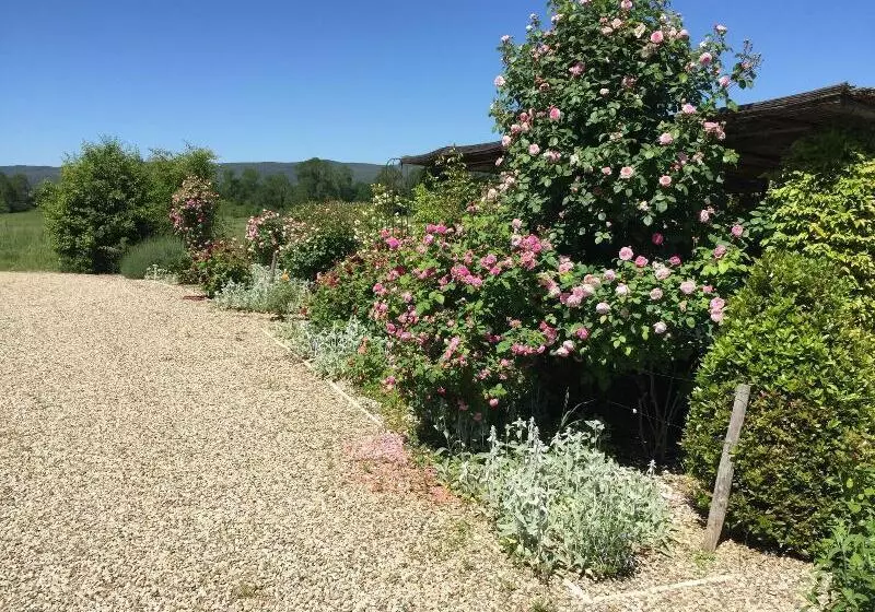 田舎風ホテル Rinidia Bio