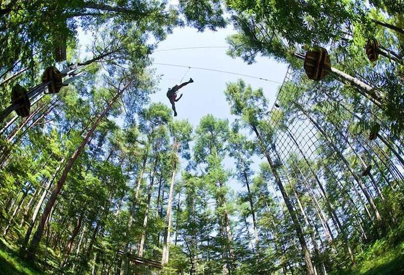 پانسیون Auberge Albireo