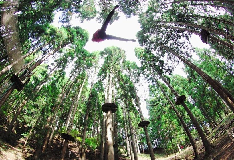 پانسیون Auberge Albireo