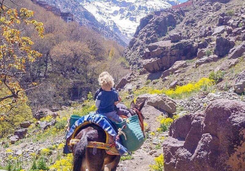 بنسيون Gite Ghazal   Atlas Mountains