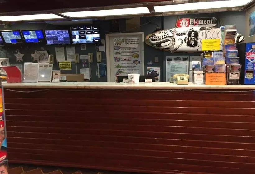 호텔 Los Angeles Backpackers Paradise Hostel