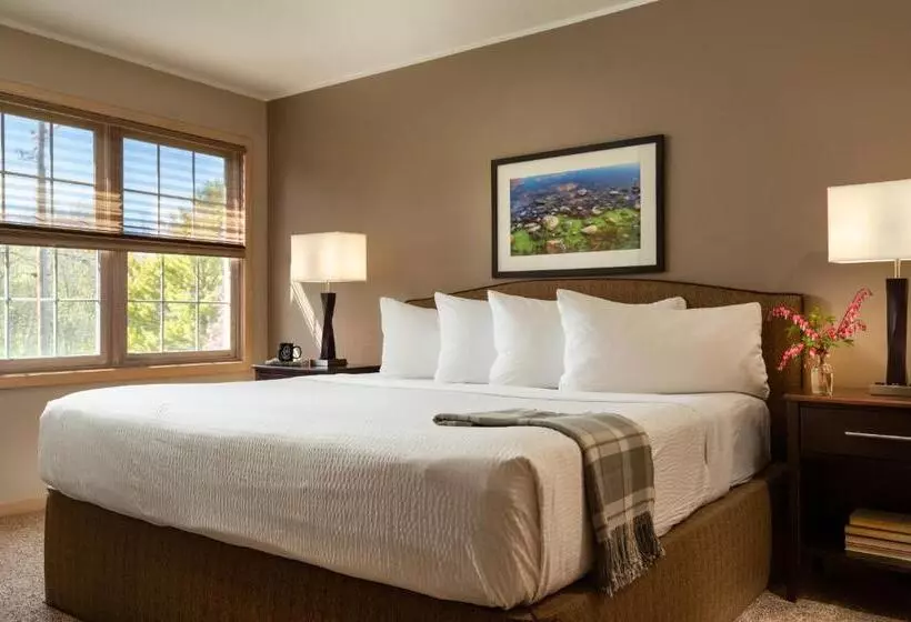 בית מלון כפרי Ashbrooke