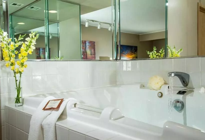 בית מלון כפרי Ashbrooke