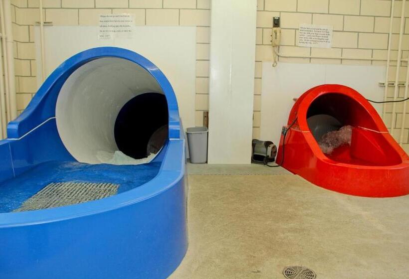 ホテル Bavarian Inn Lodge