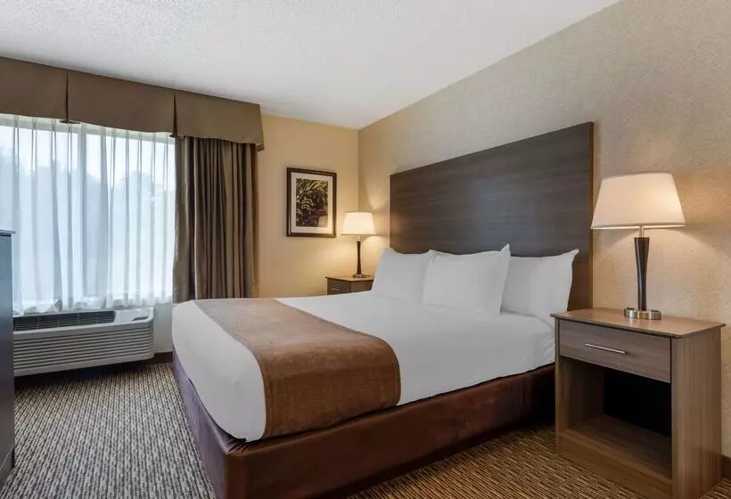 בית מלון כפרי Best Western Spooner Riverplace