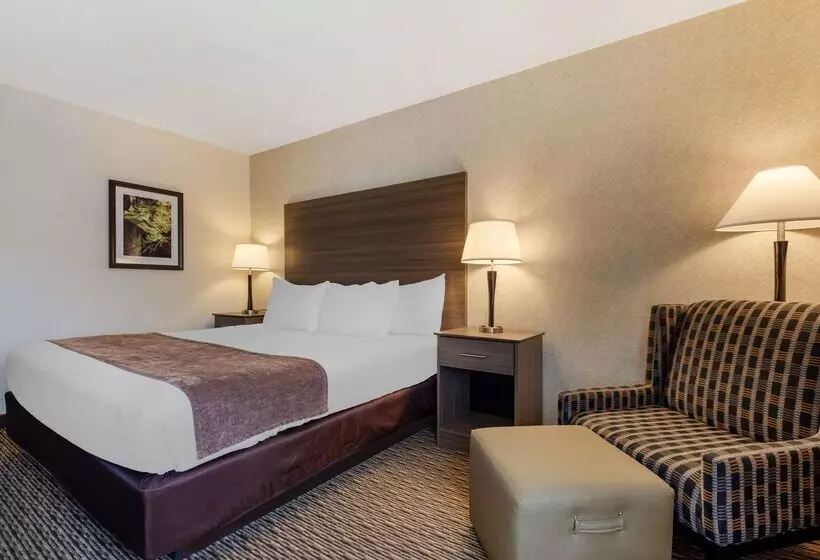 בית מלון כפרי Best Western Spooner Riverplace