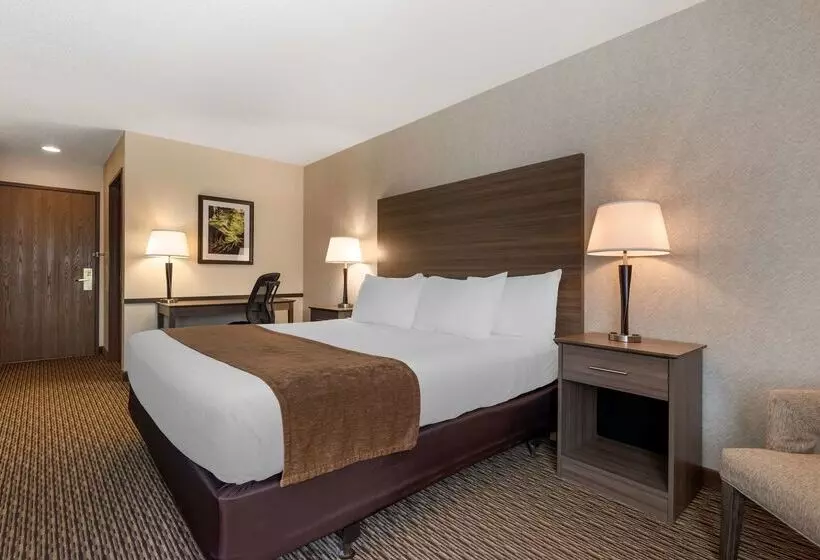 בית מלון כפרי Best Western Spooner Riverplace