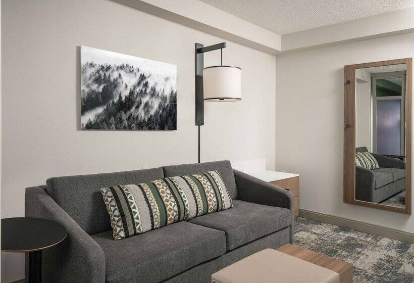 Отель Hyatt Place Denver South/park Meadows