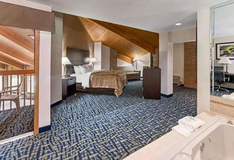 ホテル Quality Inn