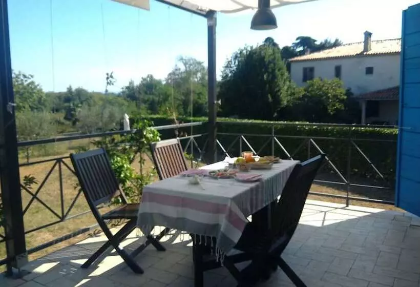 Apartments Ivas
