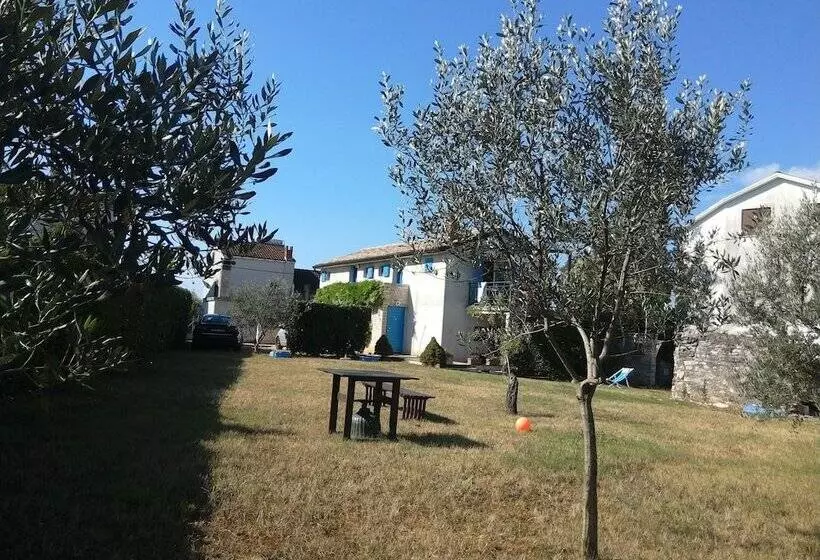 Apartments Ivas