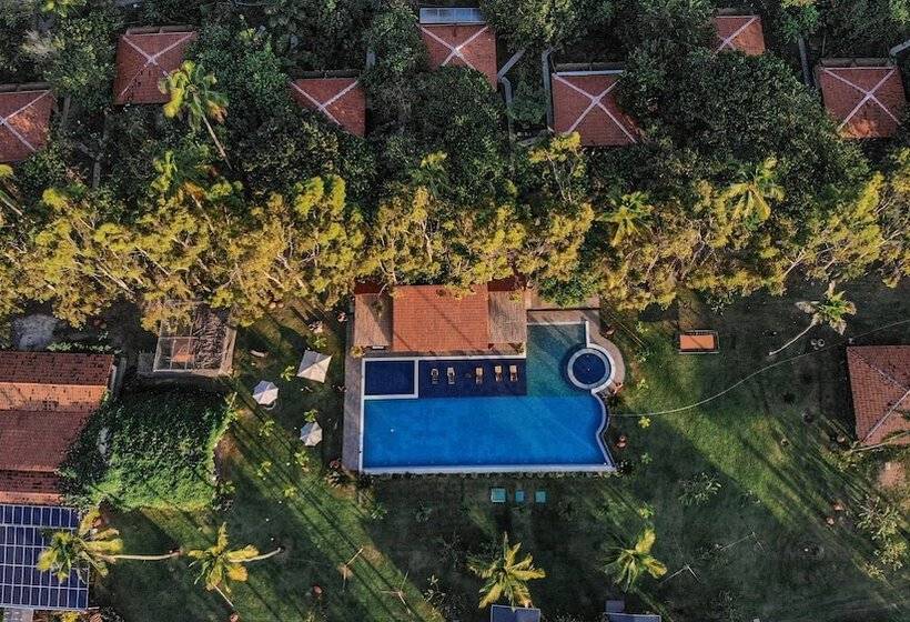 호텔 Eco Luar Boutique