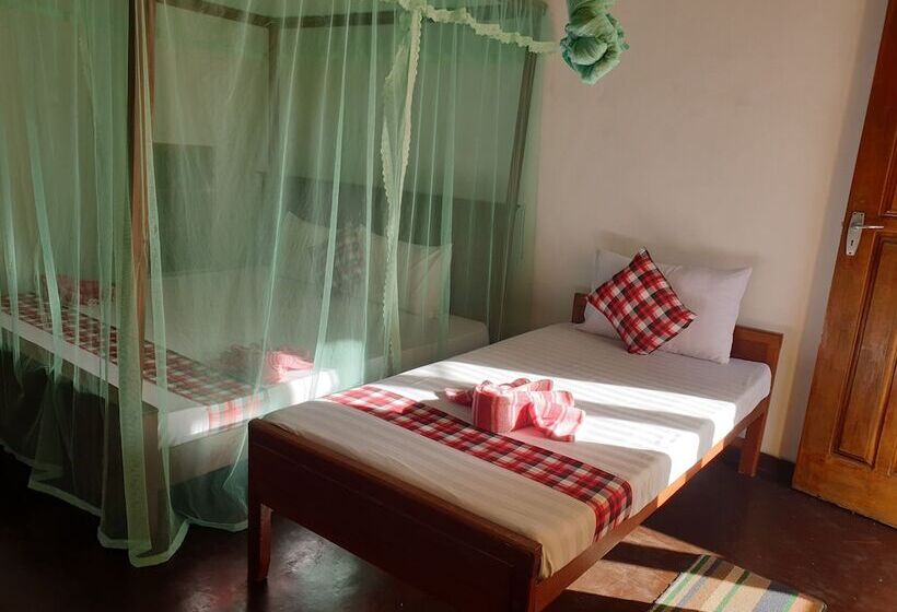 Pension Shasee Rest  Mirissa Sri Lanaka