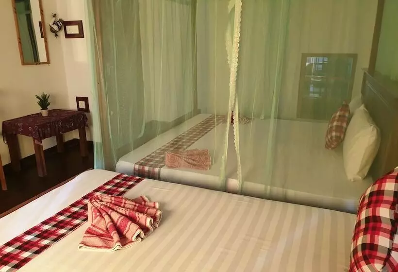 ペンション Shasee Rest  Mirissa Sri Lanaka