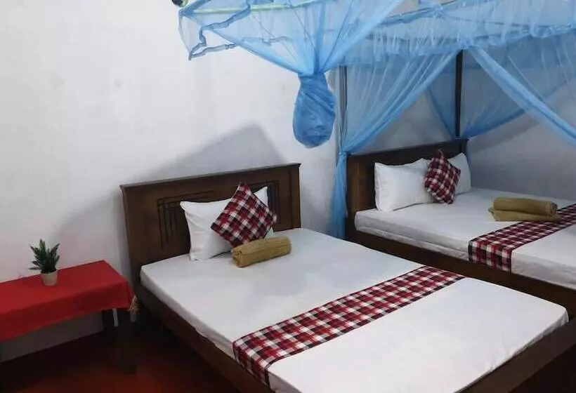 ペンション Shasee Rest  Mirissa Sri Lanaka