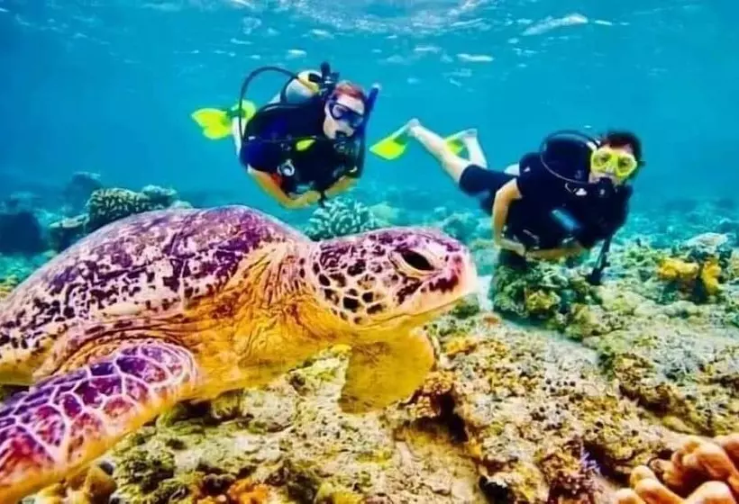 ペンション Shasee Rest  Mirissa Sri Lanaka