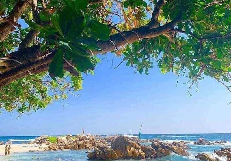 Pension Shasee Rest  Mirissa Sri Lanaka