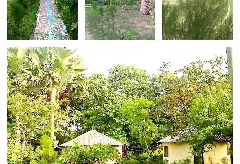 هتل Dalaba Eco Lodge