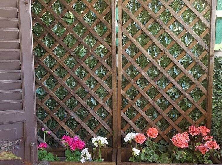 Jonathan Hostel & Guesthouse