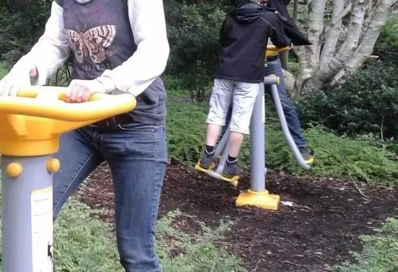 Majatalo Harz Hotel Und Gästehaus Am Bornweg