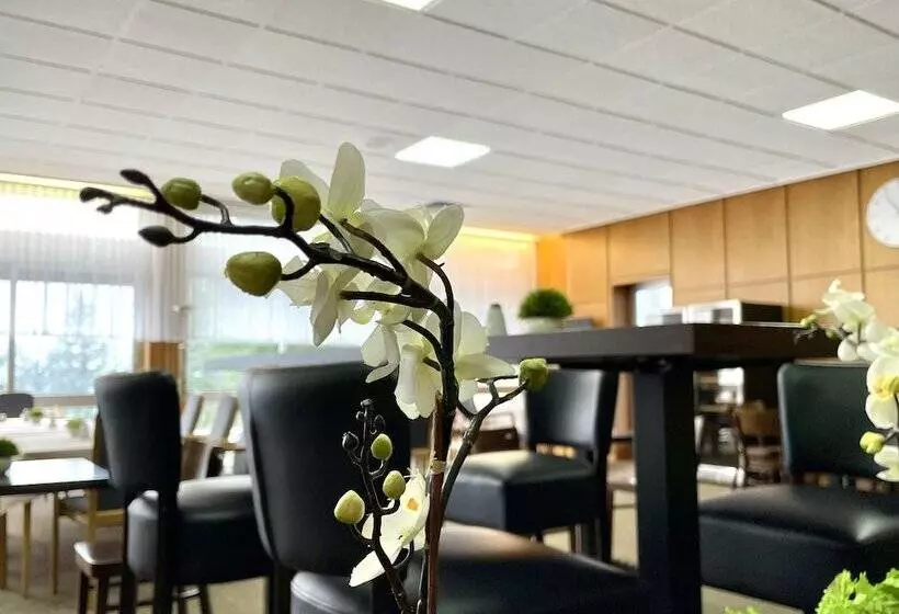 Majatalo Harz Hotel Und Gästehaus Am Bornweg