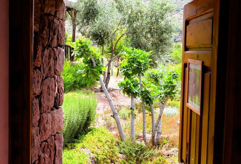 پانسیون Maison D Hôte écologique Le Douar Berbère   Adults Only