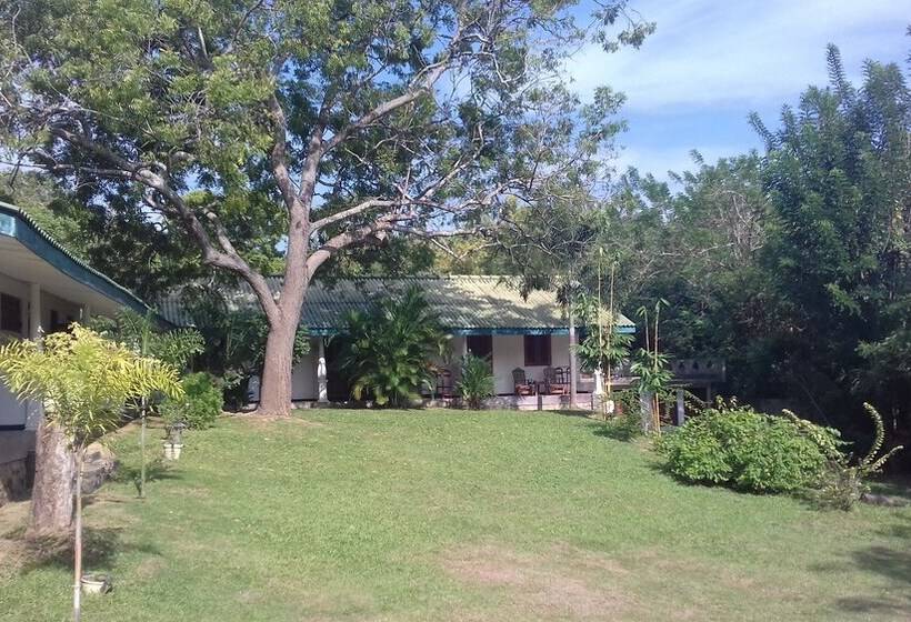 פנסיון My House