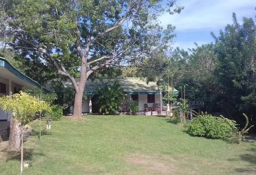 پانسیون My House