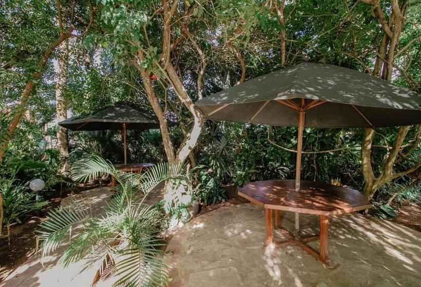 Shabijay Villa Serena