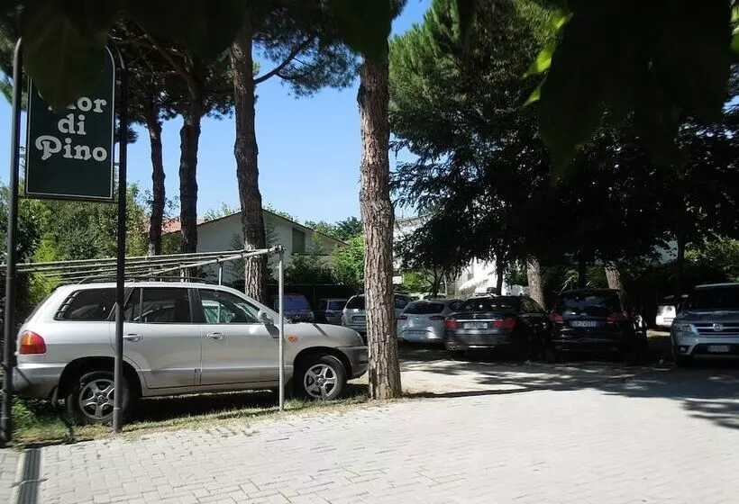 Hotelli Fior Di Pino