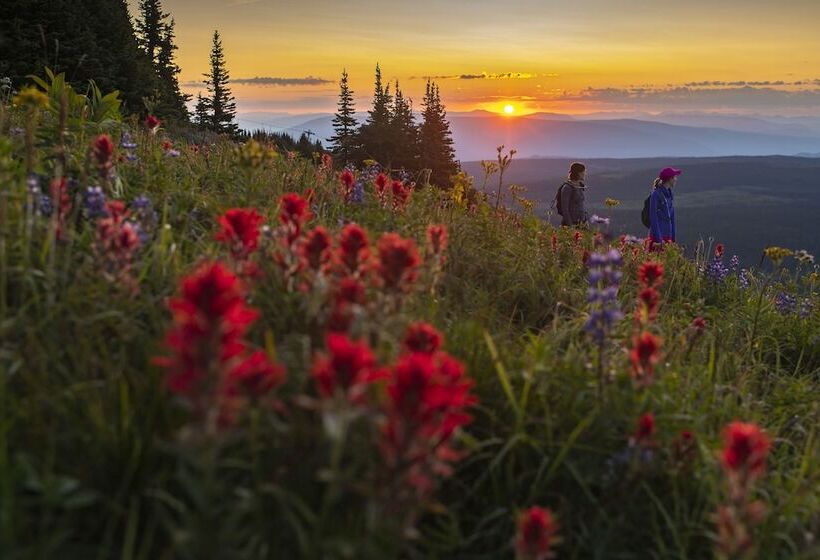 酒店 The Residences At Sun Peaks Grand