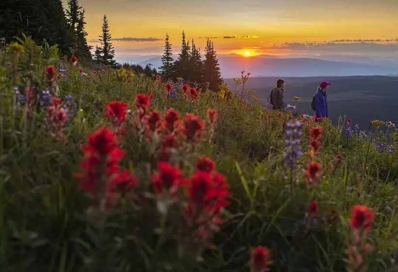 ホテル The Residences At Sun Peaks Grand