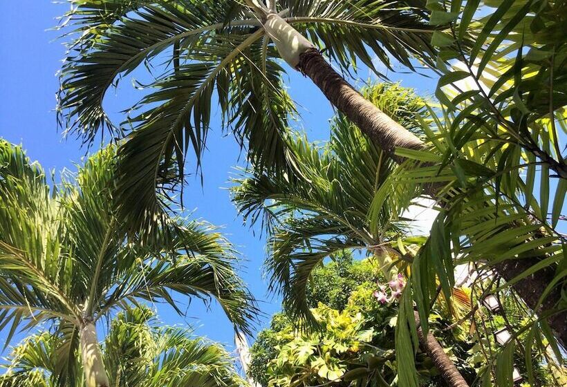 پانسیون Casa De Amistad Guesthouse