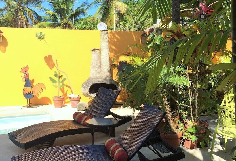 پانسیون Casa De Amistad Guesthouse