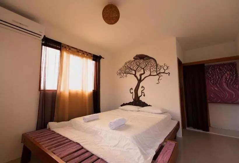 مسافرخانه Casita De La Isla