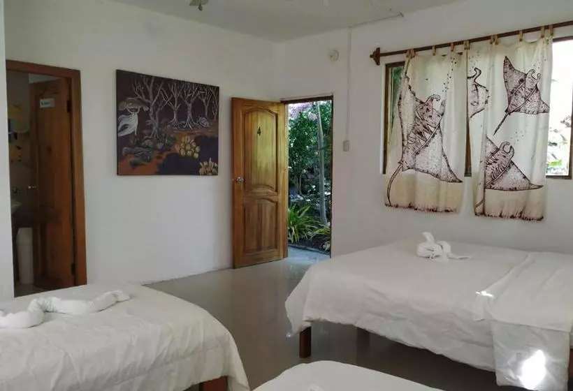 مسافرخانه Casita De La Isla
