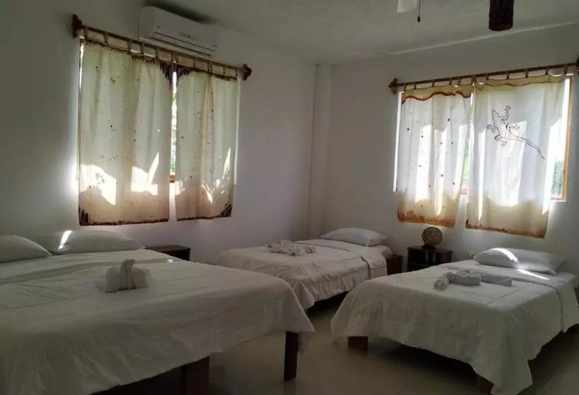 مسافرخانه Casita De La Isla