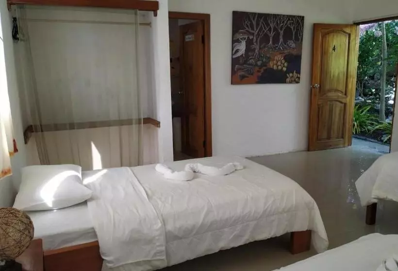 مسافرخانه Casita De La Isla