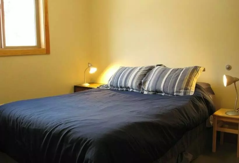 Mountain Town Properties Aladar's Guest Cabin