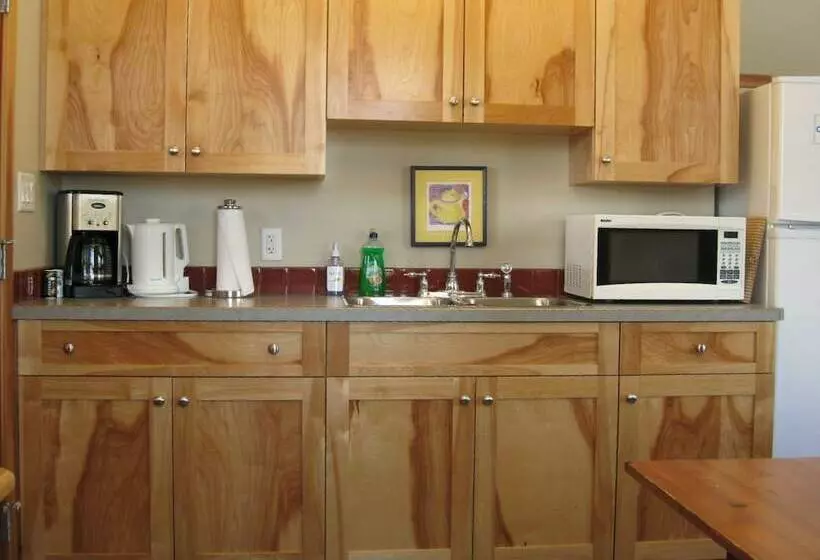 Mountain Town Properties Aladar's Guest Cabin