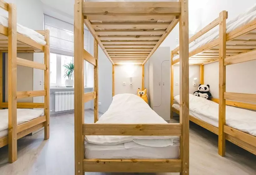Safe Haven Hostel
