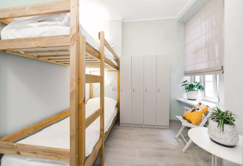 Safe Haven Hostel