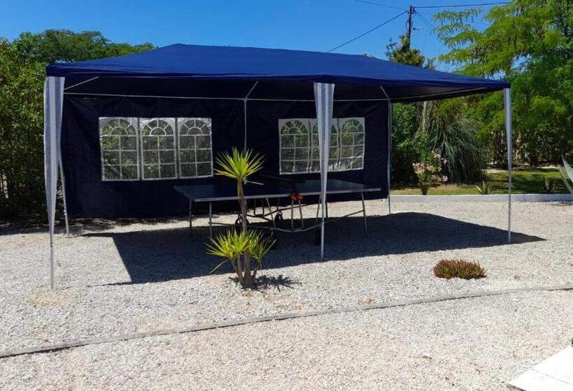 酒店 Casa Zanzibar