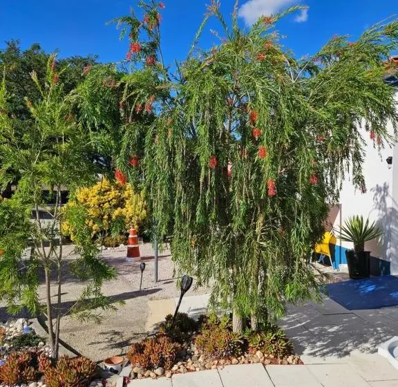 ホテル Casa Zanzibar