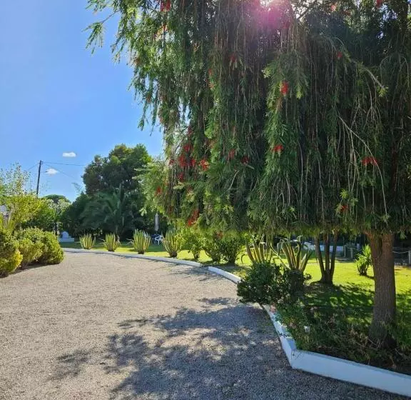 ホテル Casa Zanzibar