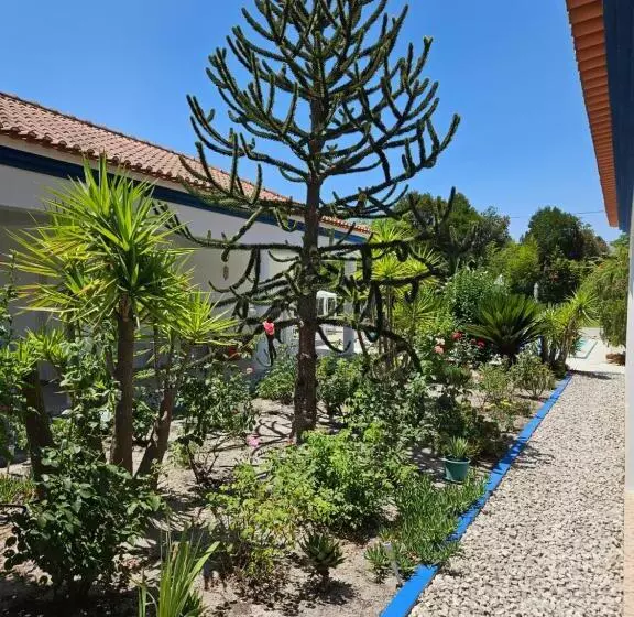 ホテル Casa Zanzibar