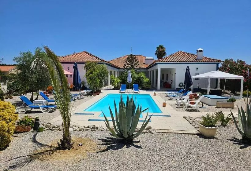 ホテル Casa Zanzibar